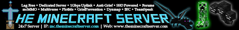 The Minecraft Server Network