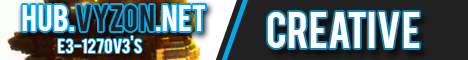 Vyzon Network
