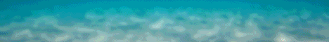 Atlantic Network