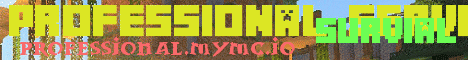 Professional Server
