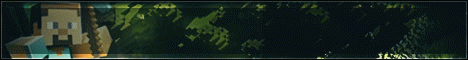 SilverThornMc Network