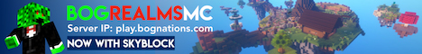 BogRealmsMC Skyblock