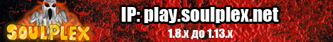 SoulPlex.NET