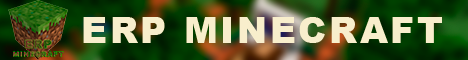 ERP Minecraft 2019