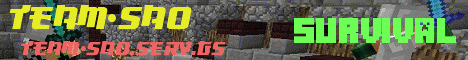 Team_SAO