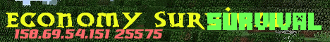 Economy Survival