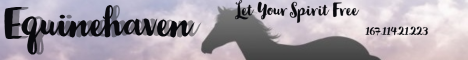 Equinehaven