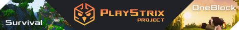 PlayStrix OneBlock