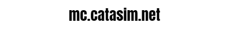 CataSim Network