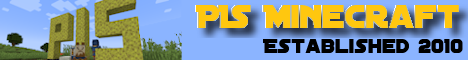 PIS Minecraft