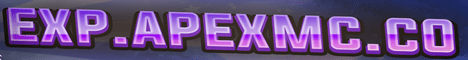 Experience 