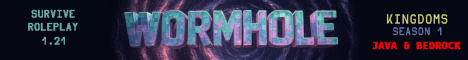 The Wormhole