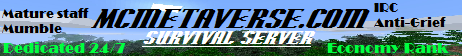 The Metaverse